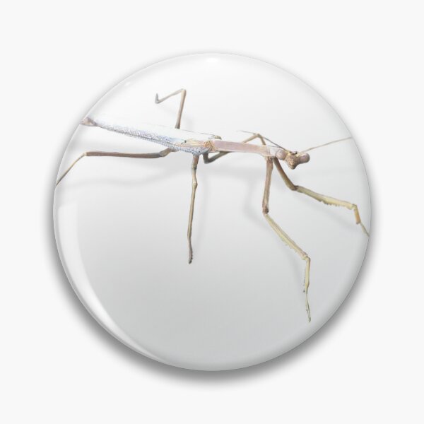 Item preview, Praying Mantis designed and sold by LukeRosenberg.