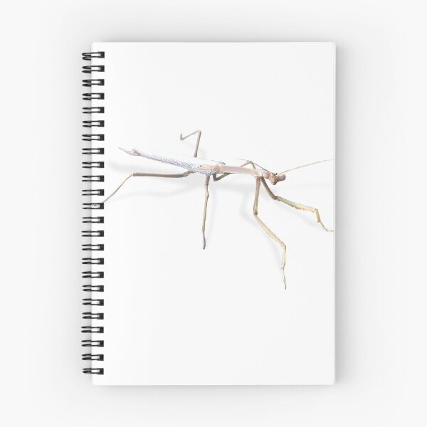 Item preview, Praying Mantis designed and sold by LukeRosenberg.