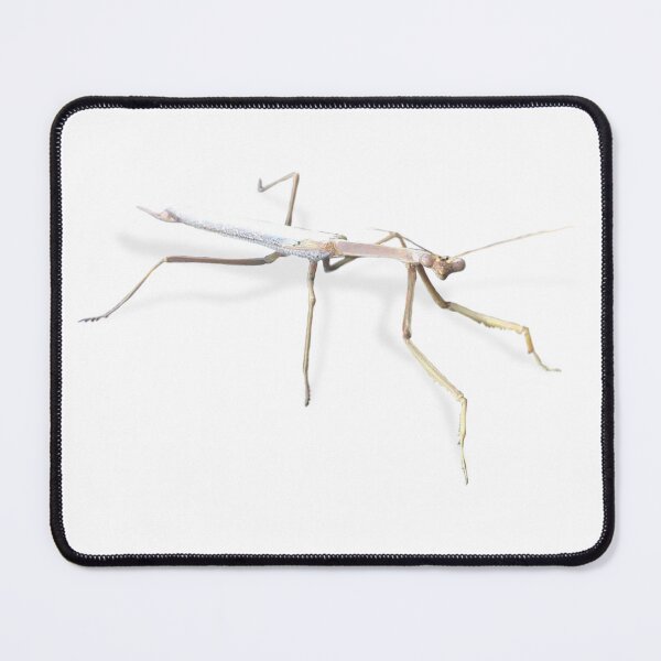 Item preview, Praying Mantis designed and sold by LukeRosenberg.
