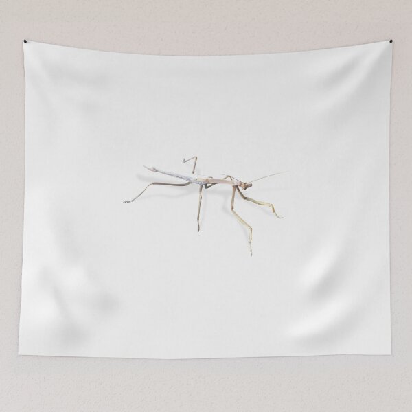 Item preview, Praying Mantis designed and sold by LukeRosenberg.
