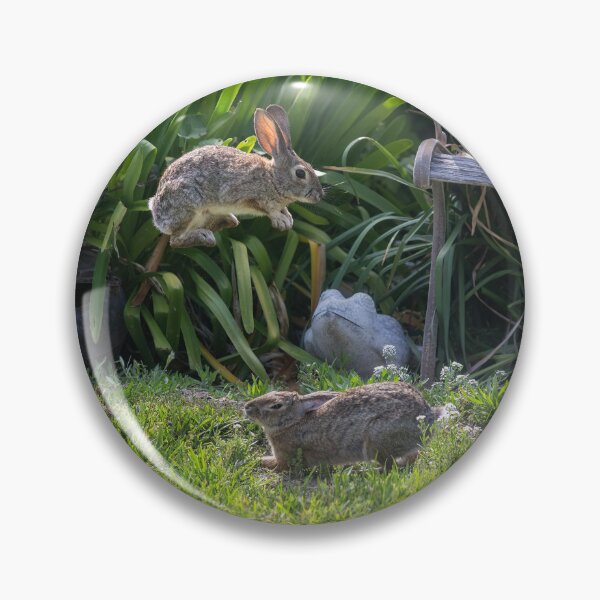 Item preview, Cottontail Rabbits Jumping and Playing designed and sold by CarolM.