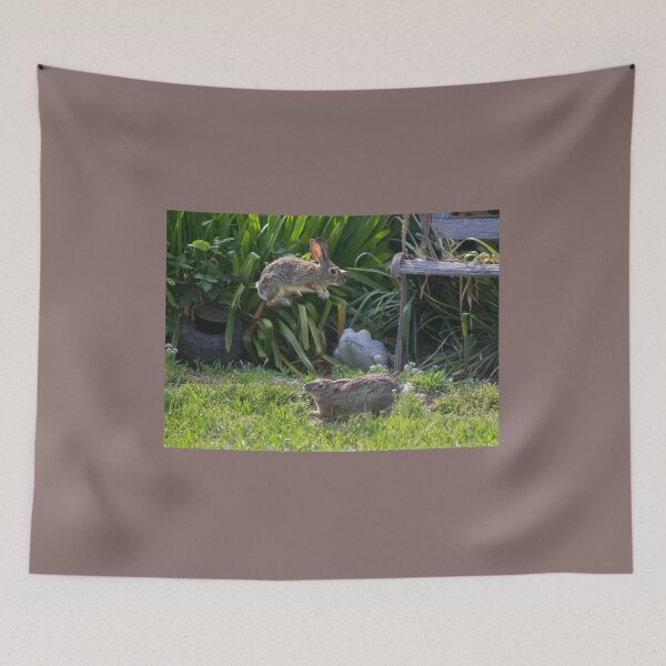 Item preview, Cottontail Rabbits Jumping and Playing designed and sold by CarolM.