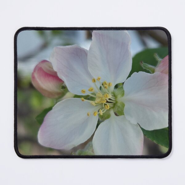 Item preview, Something Sweet designed and sold by Betsy Phillips.