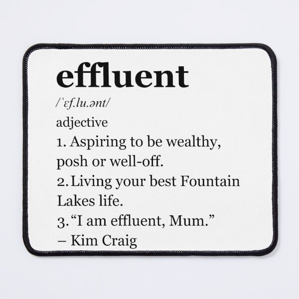 Item preview, Effluent | Kath & Kim | Dictionary Parody designed and sold by Mattk270.