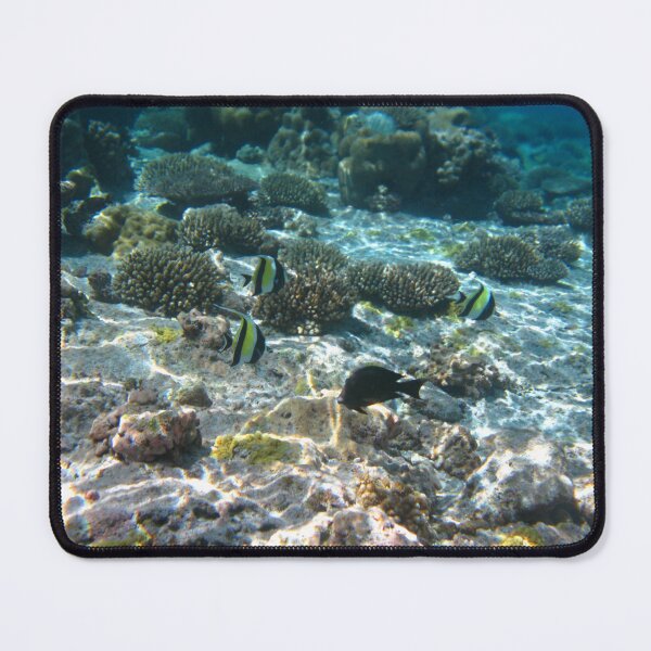 Item preview, Shallow Water & Sunlight designed and sold by dklw2023.