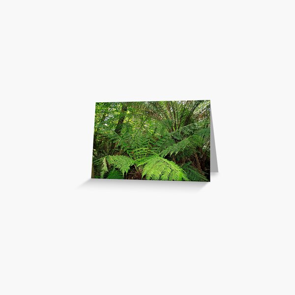 Item preview, Natural Fernery designed and sold by dklw2023.