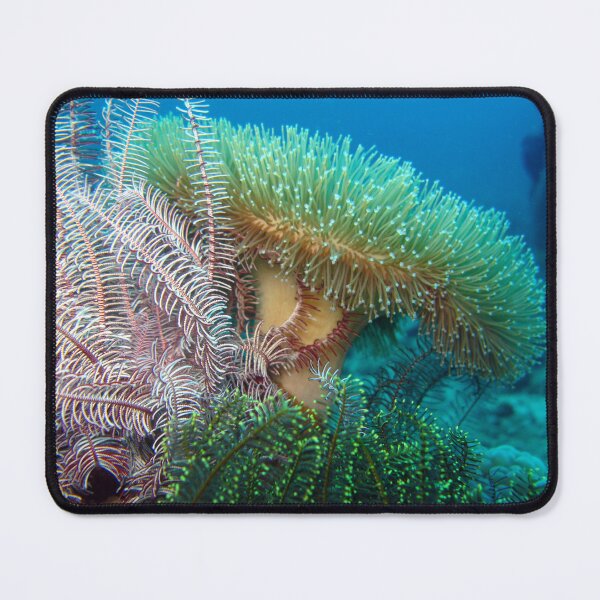 Item preview, Coral Garden designed and sold by dklw2023.