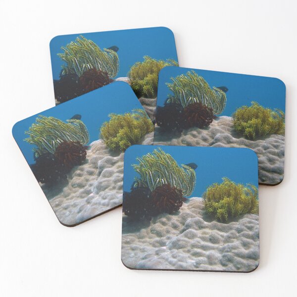 Item preview, Coral Gardens designed and sold by dklw2023.
