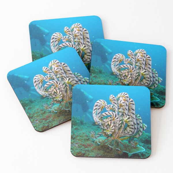 Item preview, Feather Star designed and sold by dklw2023.