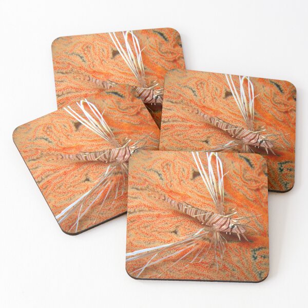 Item preview, Lionfish - Baby designed and sold by dklw2023.