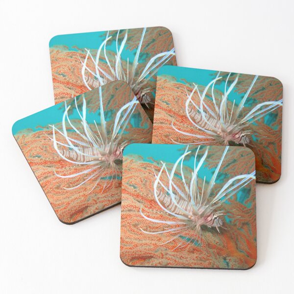 Item preview, Baby Lionfish designed and sold by dklw2023.