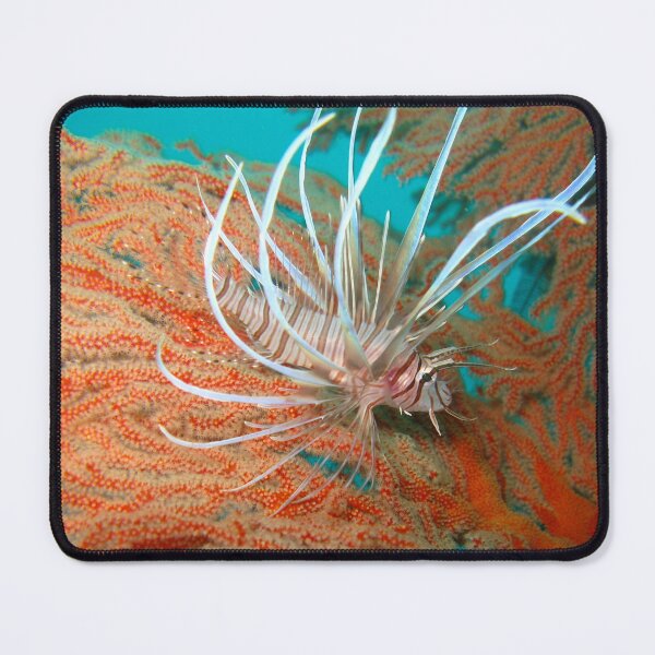 Item preview, Baby Lionfish designed and sold by dklw2023.