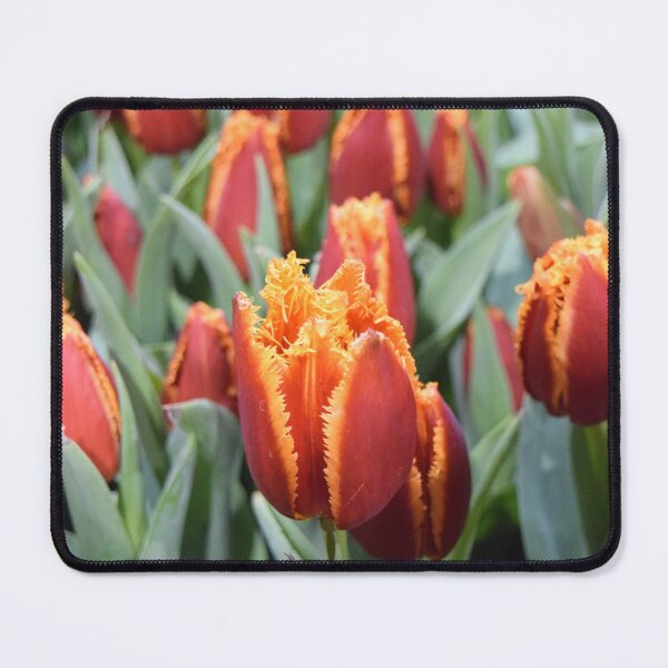 Item preview, Red Fringed Tulip Print designed and sold by Sparklyn Designs.