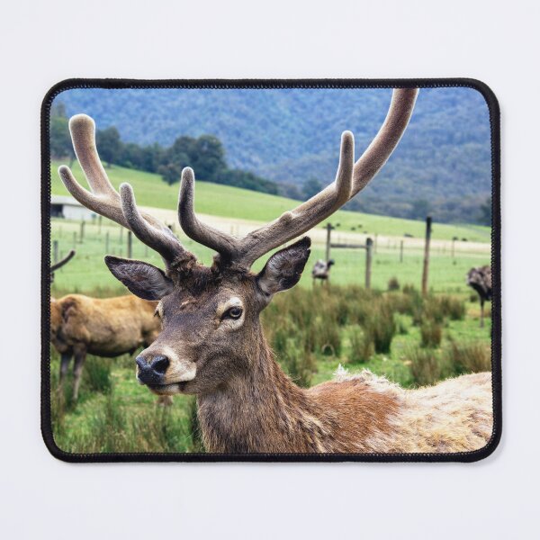Item preview, Field of Antelope & Emus designed and sold by dklw2023.