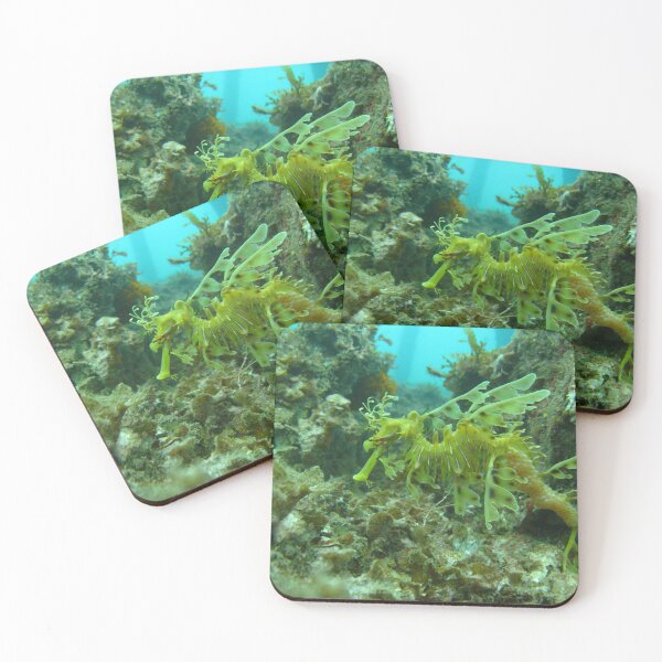 Item preview, Leafy Sea Dragon designed and sold by dklw2023.