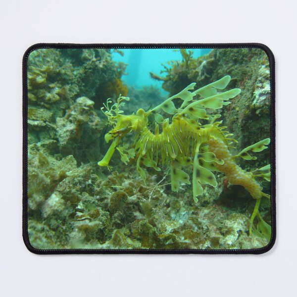 Item preview, Leafy Sea Dragon designed and sold by dklw2023.