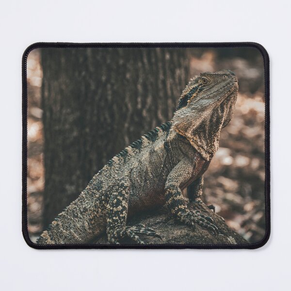 Item preview, Iguana designed and sold by MillionPix.