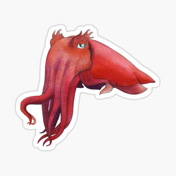 Item preview, Giant Cuttlefish designed and sold by Seb Fowler.