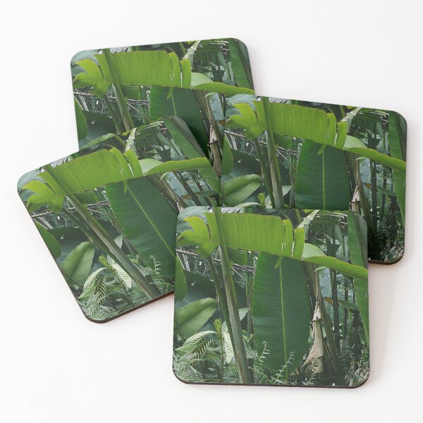 Item preview, Exotic Tropical Palm Leaves In Island Paradise Rainforest designed and sold by DEC02.
