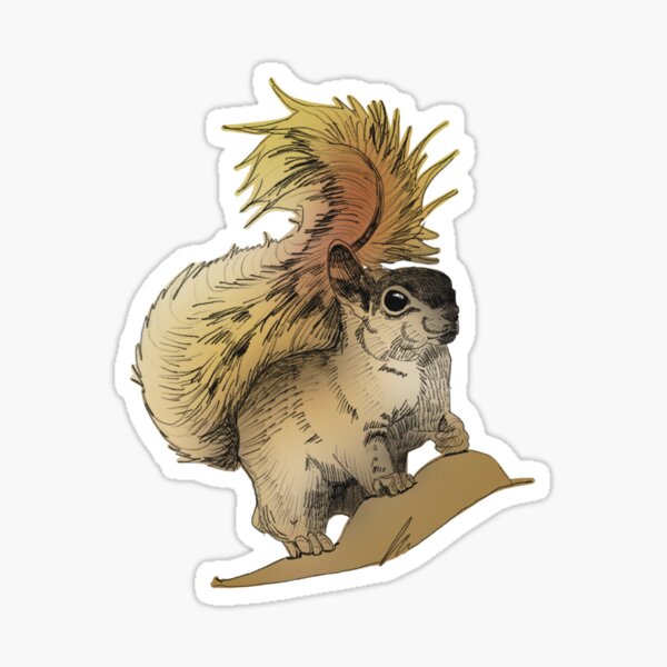 Item preview, Squirrel drawing designed and sold by KASARO.
