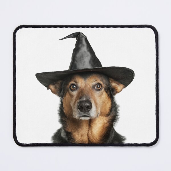 Item preview, Chinook Dog Wearing Halloween Witch Hat designed and sold by LazyOwlStore.