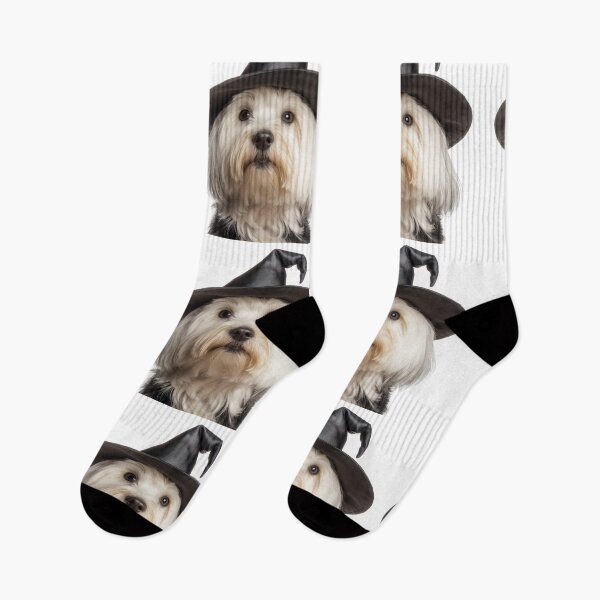 Item preview, Coton de Tulear dog Wearing Halloween Witch Hat designed and sold by LazyOwlStore.