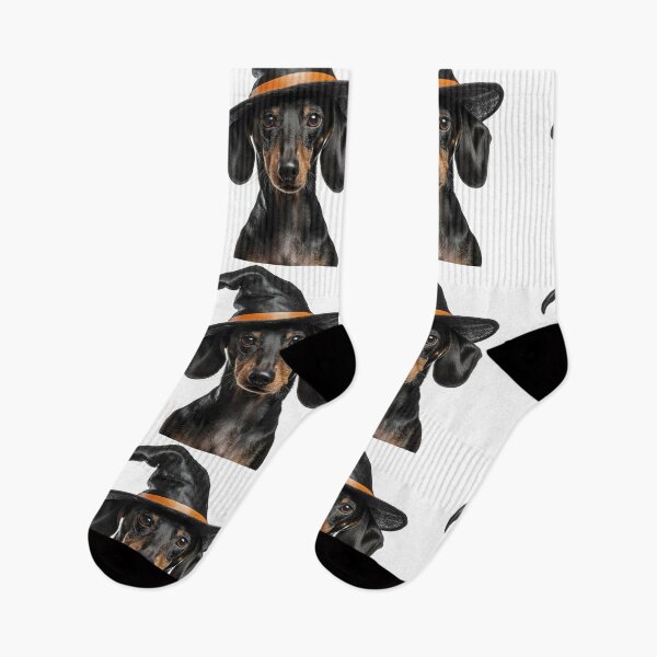Artikelvorschau, Dackel mit Halloween-Hexenhut entworfen und verkauft von LazyOwlStore.
