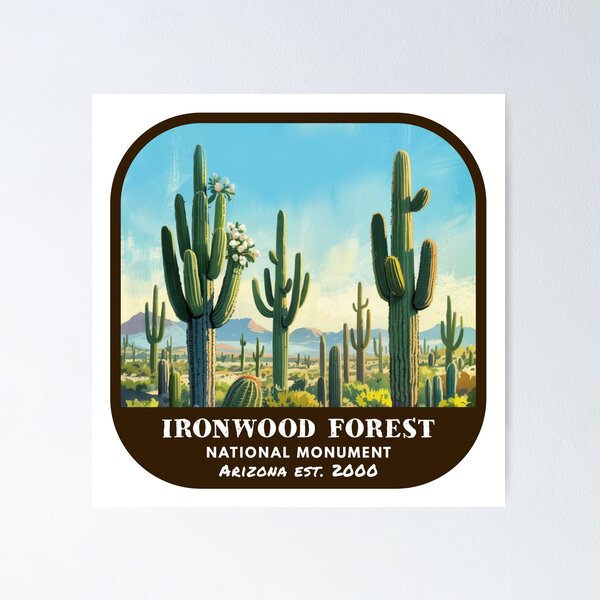 Item preview, Vintage Ironwood Forest National Monument (Arizona) designed and sold by RabbitK.