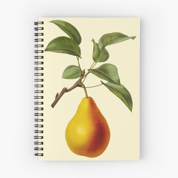 Item preview, Antique Pear Fruit Design designed and sold by IrisAndIvy.
