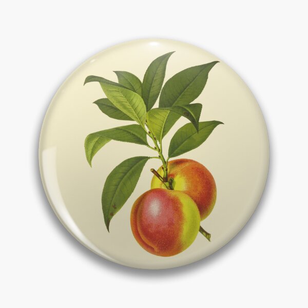 Item preview, Bright Red And Yellow Nectarines designed and sold by IrisAndIvy.