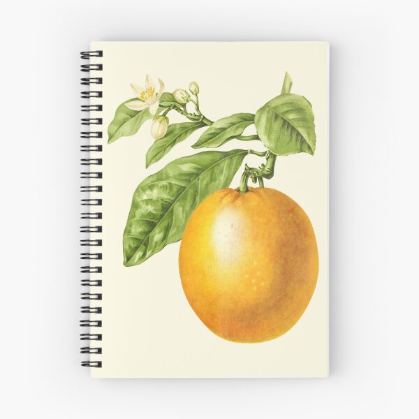 Item preview, Jaffa Orange Fruit On A Branch With Blossom  designed and sold by IrisAndIvy.