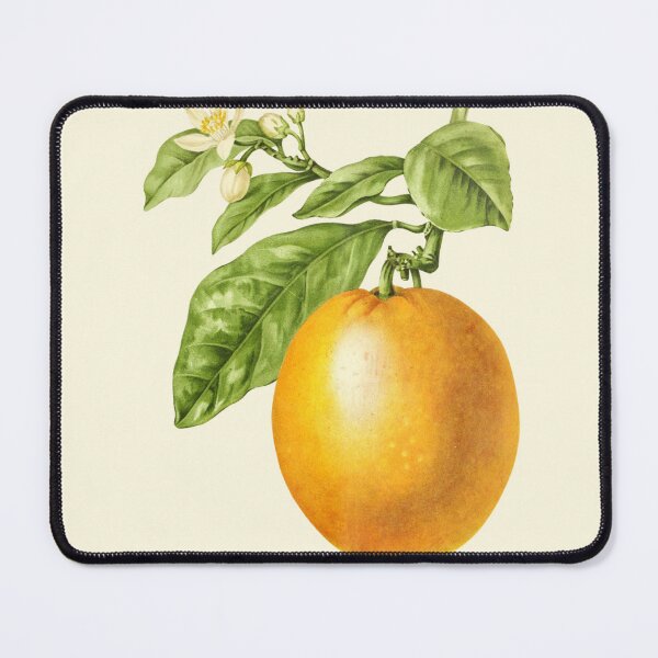 Item preview, Jaffa Orange Fruit On A Branch With Blossom  designed and sold by IrisAndIvy.