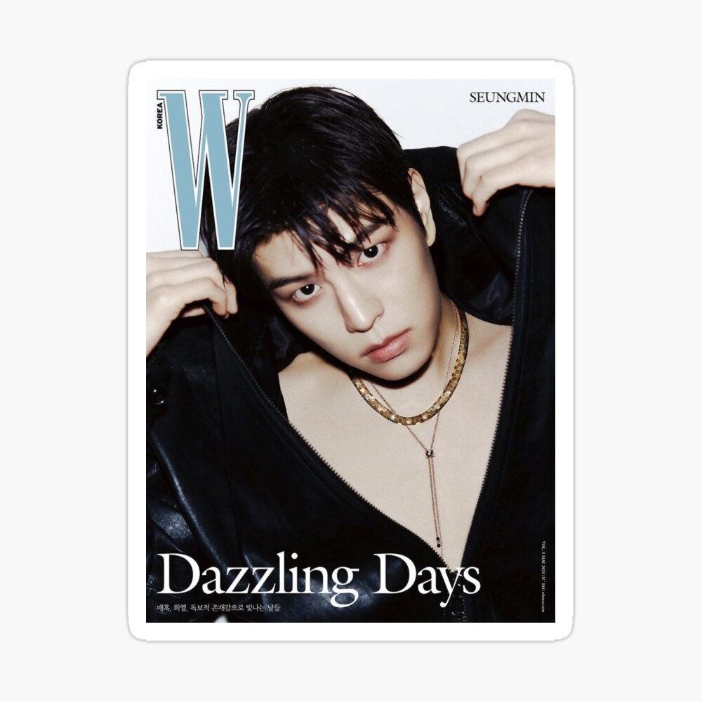 Stray Kids - 本日0時まで値下げ⚠️Stray Kids SEUNGMIN withdrama Stray Kids Seungmin 樂 STAR ROCK STAR KMS KMSTATION SKZOO