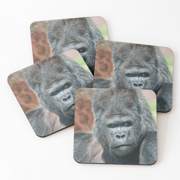 Item preview, Striking Pose from Silverback Gorilla Dishi designed and sold by rawshutterbug.