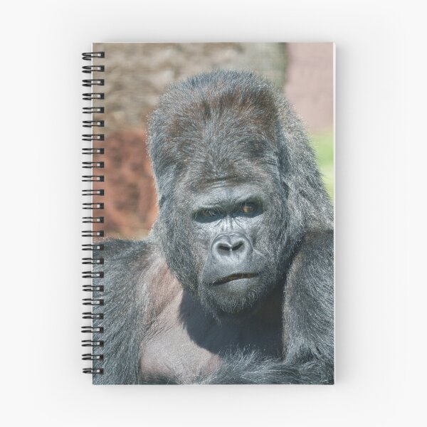Item preview, Striking Pose from Silverback Gorilla Dishi designed and sold by rawshutterbug.