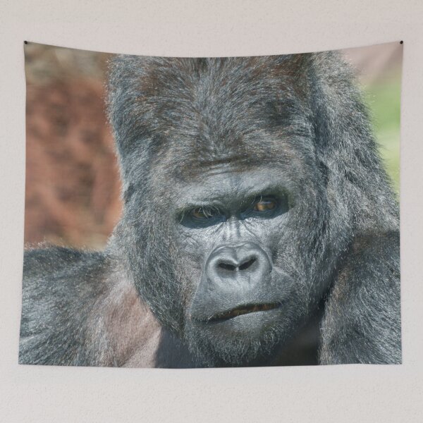 Item preview, Striking Pose from Silverback Gorilla Dishi designed and sold by rawshutterbug.