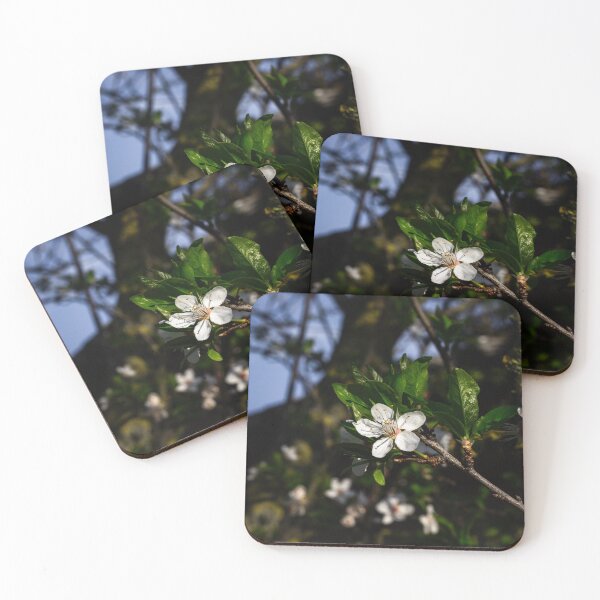 Item preview, Tree Blossom designed and sold by ForgottenPrints.