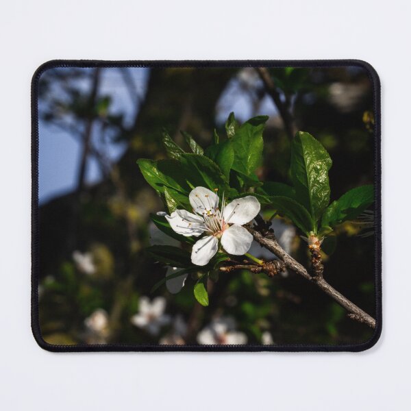 Item preview, Tree Blossom designed and sold by ForgottenPrints.