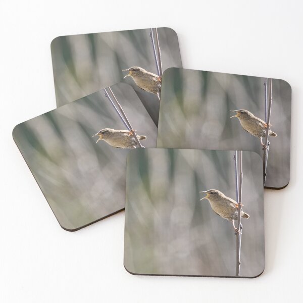 Item preview, Listen to me. Eurasian wren designed and sold by Jouko Lehto Photography.