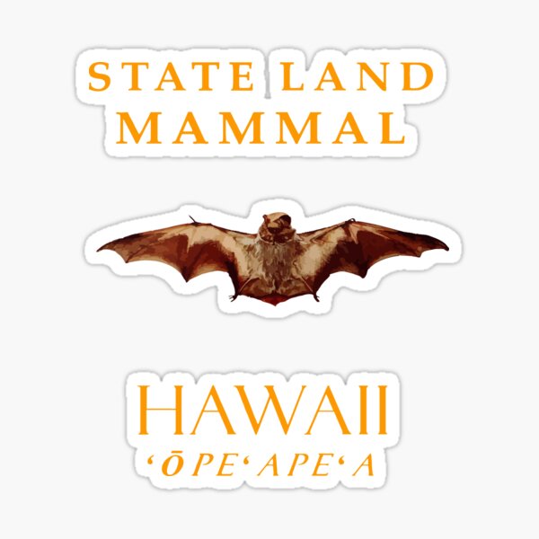 Item preview, Hawaii Territory Land Mammal The Hoary Bat designed and sold by taiche.