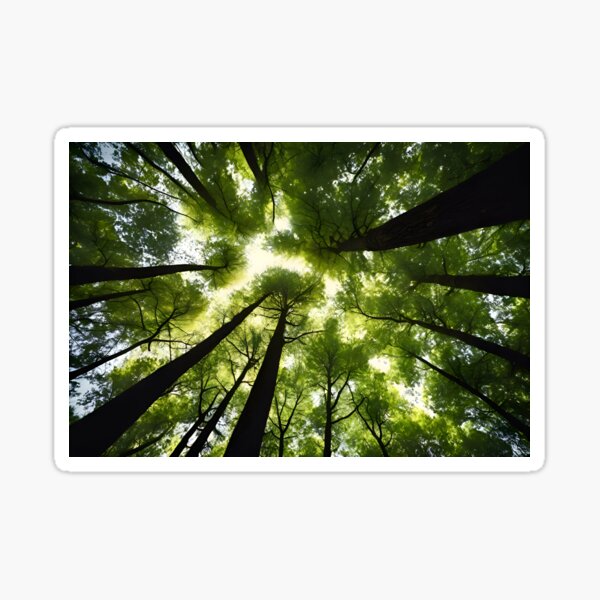 Item preview, The Forest's Sacred Light designed and sold by Pixel Press Prints.