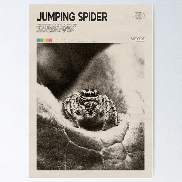 Item preview, Jumping Spider Owner Vintage designed and sold by JRRTs.