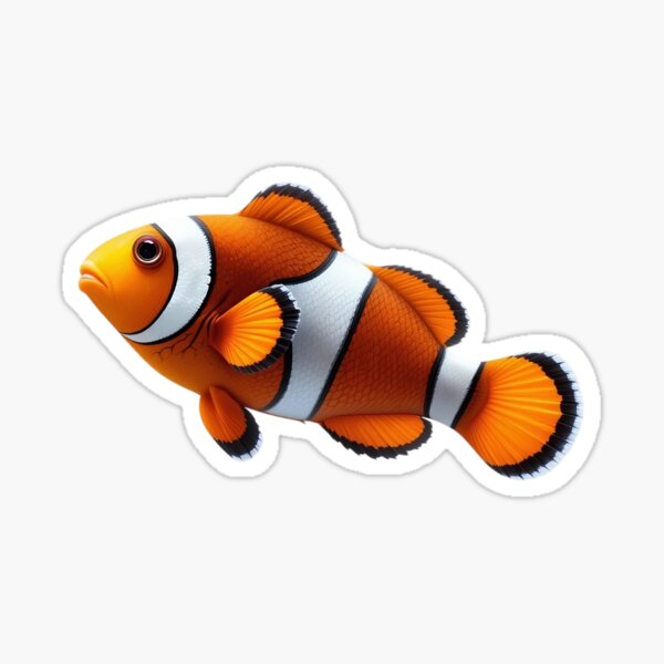Item preview, Vibrant orange and blue tropical clownfish swims isolated on a white designed and sold by Aonsnoopy.