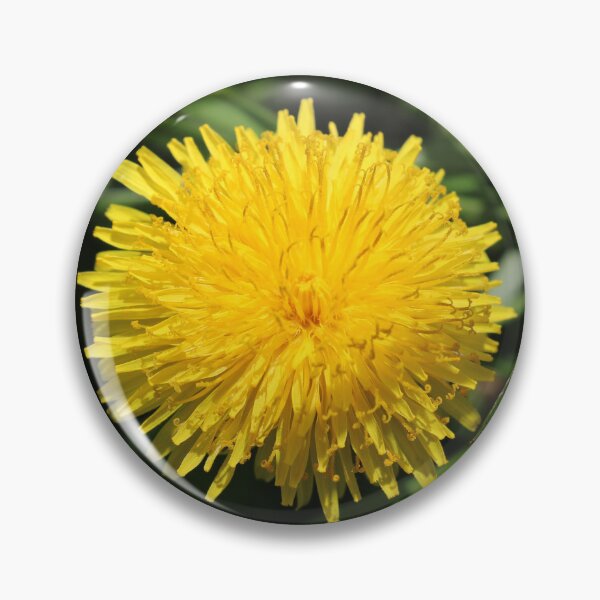 Item preview, Dandelion  designed and sold by McFleur's Lens.