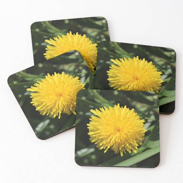 Item preview, Dandelion  designed and sold by McFleur's Lens.