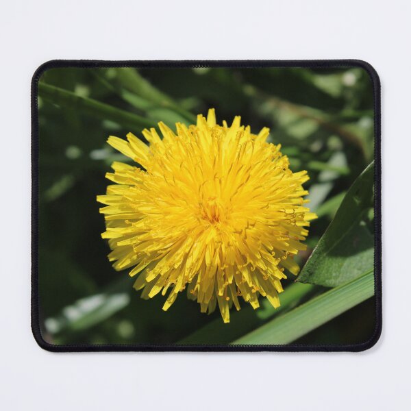 Item preview, Dandelion  designed and sold by McFleur's Lens.