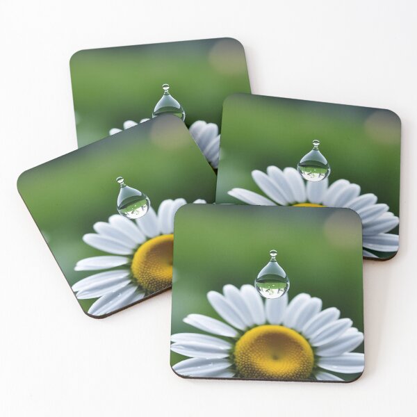 Item preview, Raindrop on a Daisy, Simple Beauty,  Raindrop, Daisy designed and sold by Lisie24.