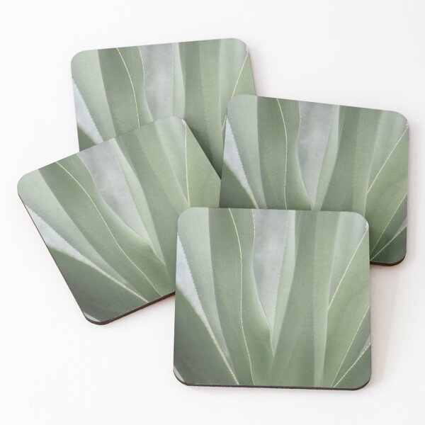 Item preview, Sage green agave plant - pointy leaves - mexio desert plant - nature and travel photography designed and sold by Christa Stroo Photography.