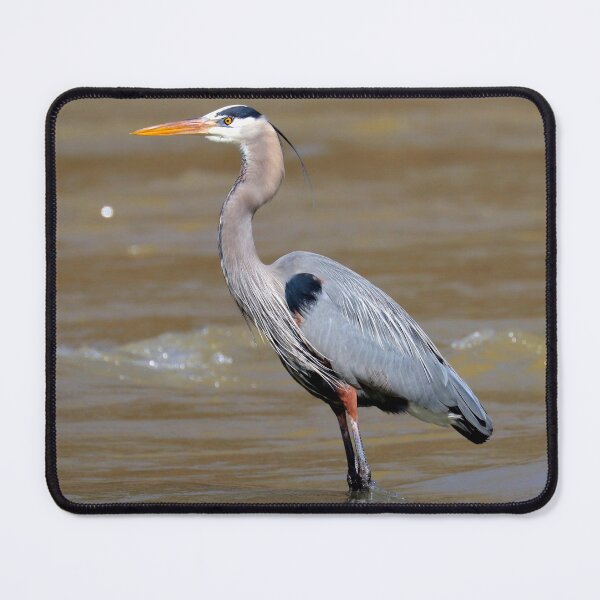 Item preview, Great Blue Heron  designed and sold by Parks and X.