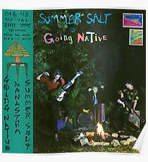 Sommer Salz Poster